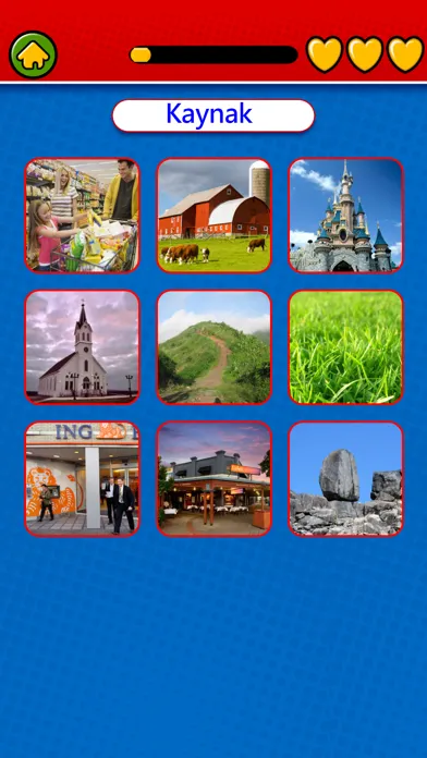 Game to learn Turkish Voca 스크린샷