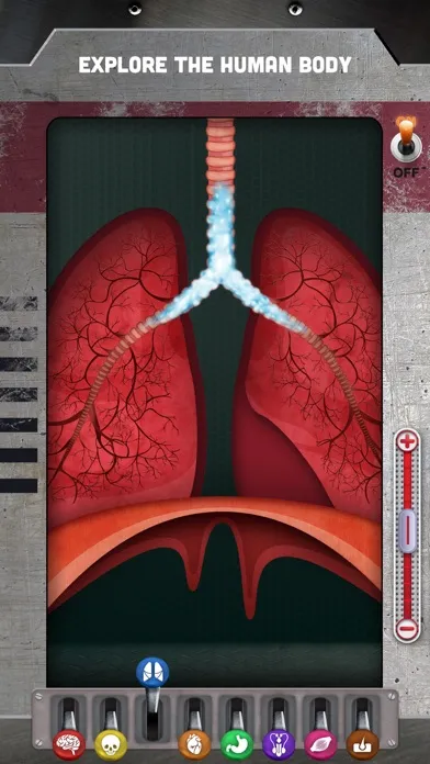 Tangkapan skrin How does The Human Body Work?