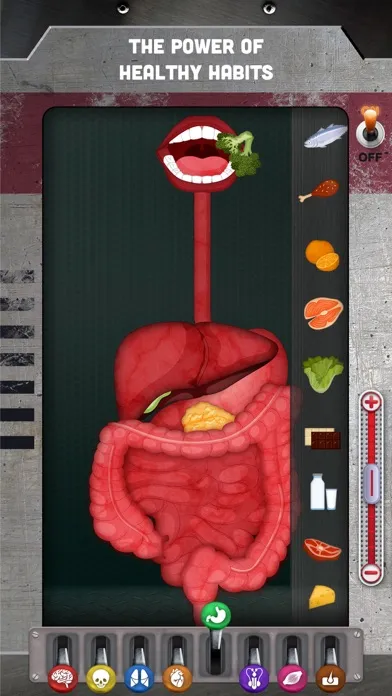 Tangkapan skrin How does The Human Body Work?