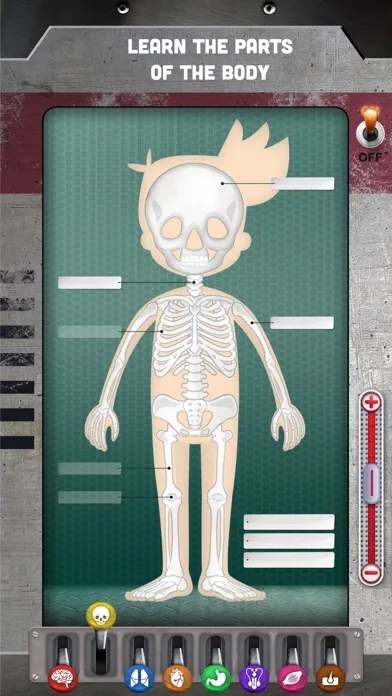 Tangkapan skrin How does The Human Body Work?