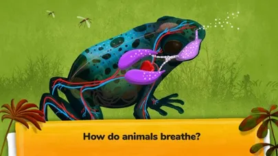 The Animals - Games For Kids سکرین شاٹس
