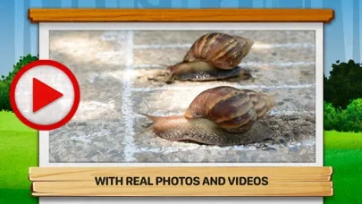 Tangkapan layar Bugs 2: What Are They Like?