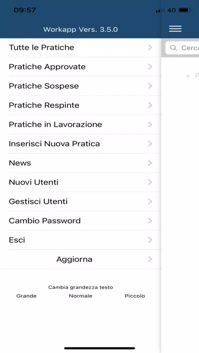 تصاویر Workapp Leasifin