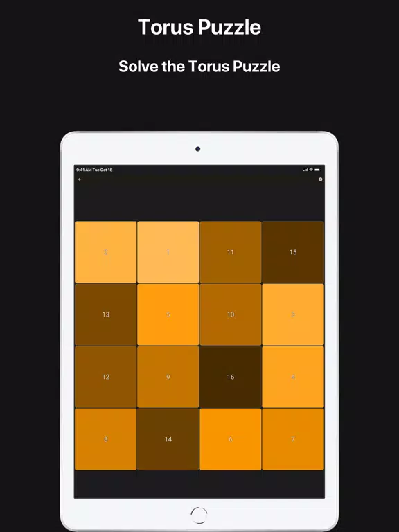 Torus Puzzle iPad  スクリーンショット