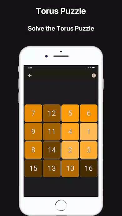 Torus Puzzle スクリーンショット