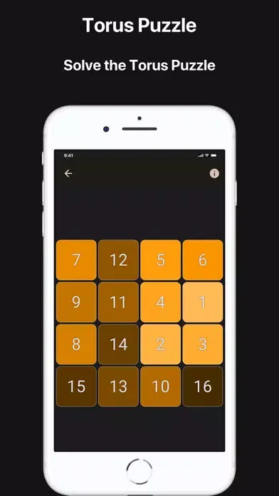 Screenshot di Torus Puzzle