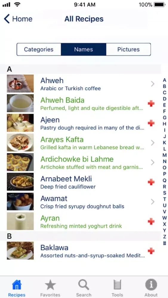 100 Lebanese Recipes Lite应用截图