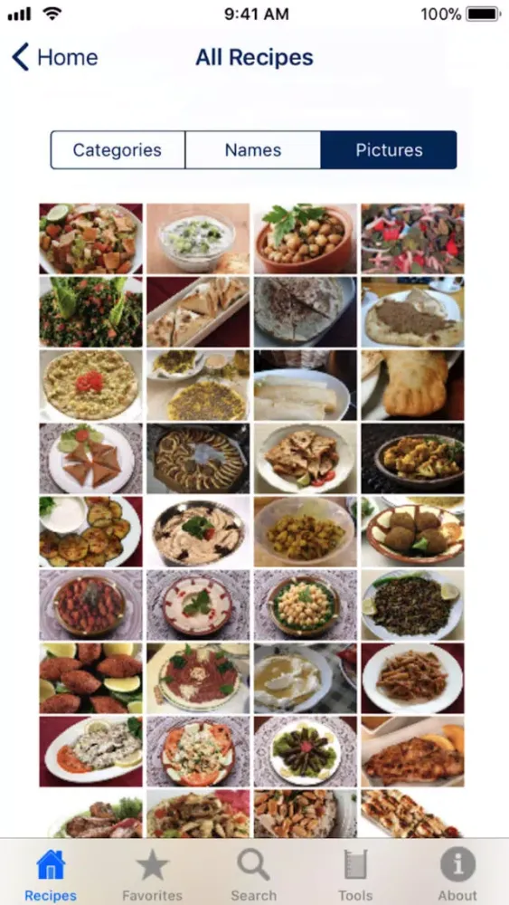 100 Lebanese Recipes Lite应用截图