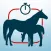 Safe Foal