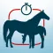 Safe Foal