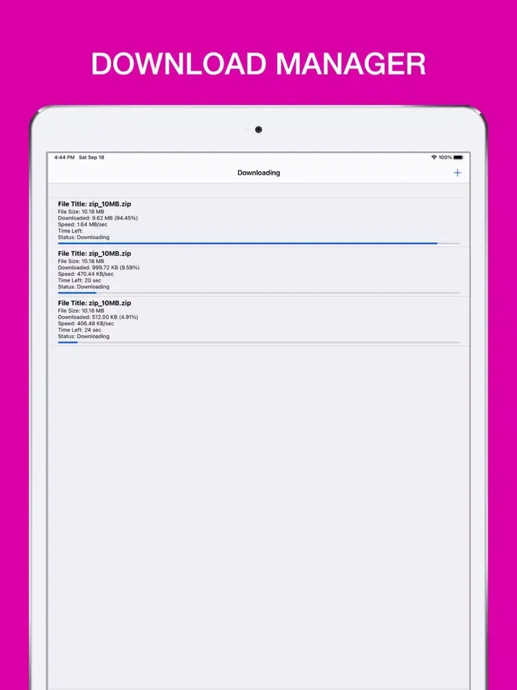 iTransmission - Offline Files iPad 應用截圖