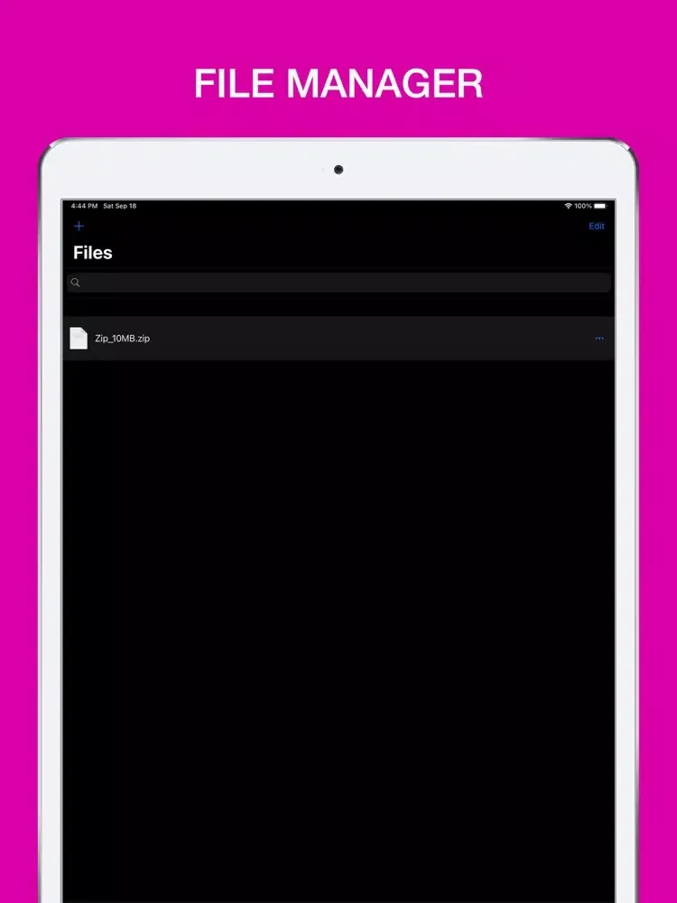 iTransmission - Offline Files iPad 應用截圖