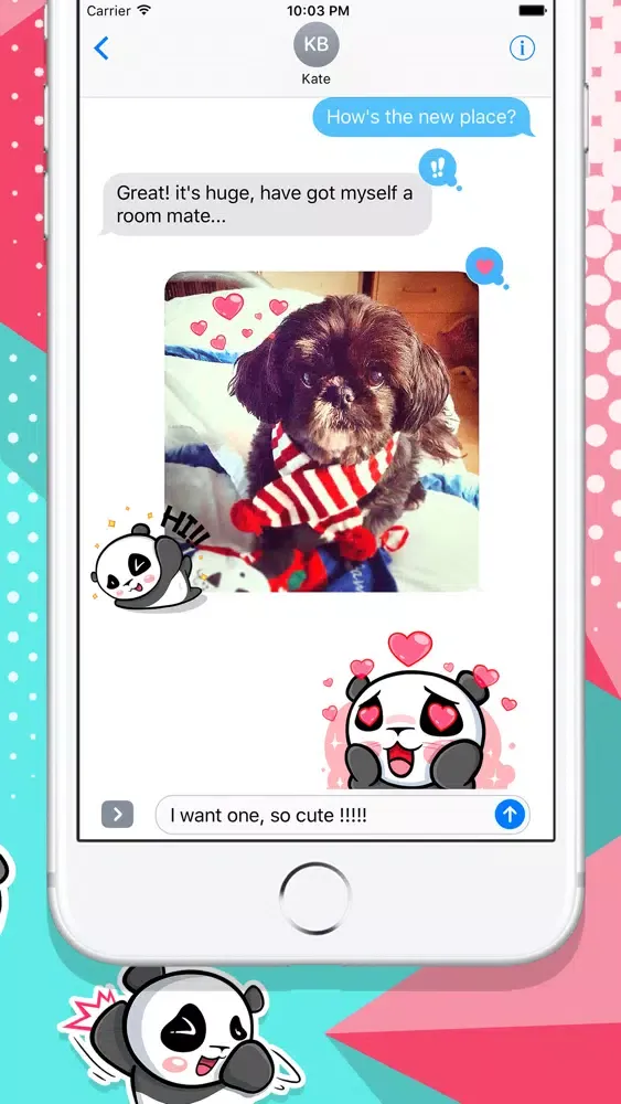 The CHiCHi Panda Sticker Pack by Cute Panda Town Screenshots