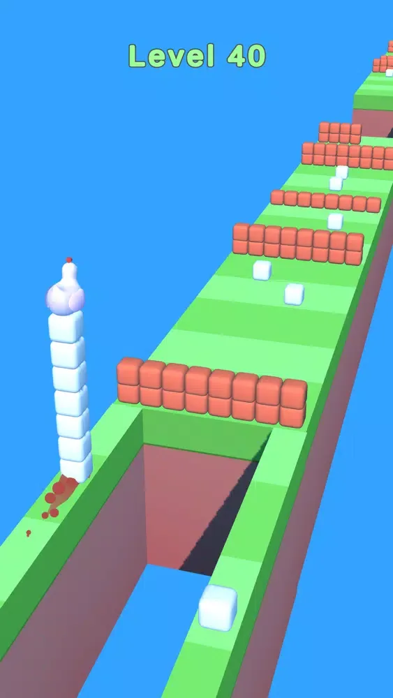 Bird Rush 3D Ekran Görüntüleri