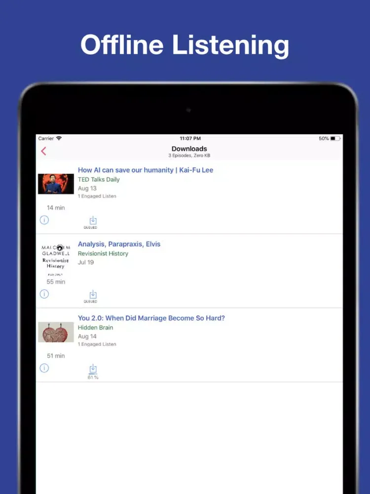 Leela News (Audio) iPad  স্ক্রিনশট