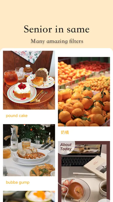 Food Camera - photo editor应用截图