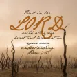 100 + Best Bible Words Verses HD Wallpapers & Pic