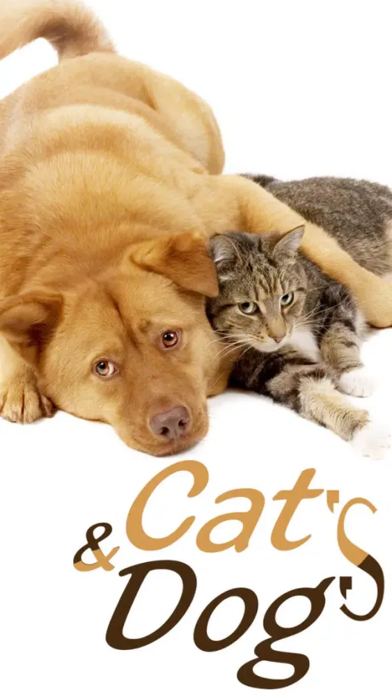 Tangkapan skrin Cats & Dogs Hd Wallpapers and Backgrounds
