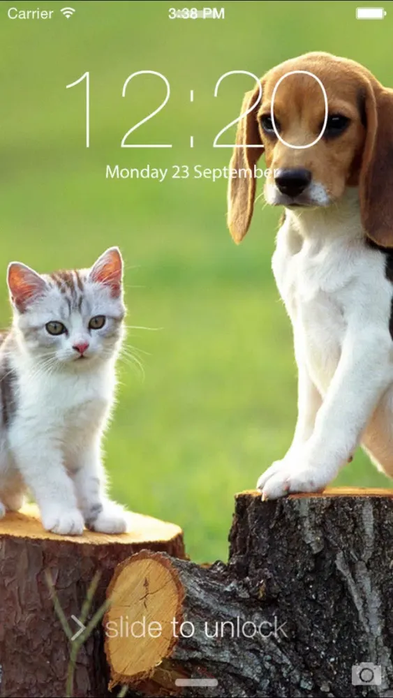 Tangkapan skrin Cats & Dogs Hd Wallpapers and Backgrounds