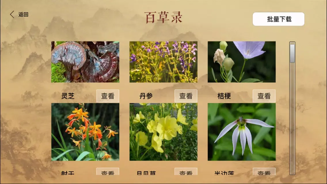 Captures d'écran de 百草录