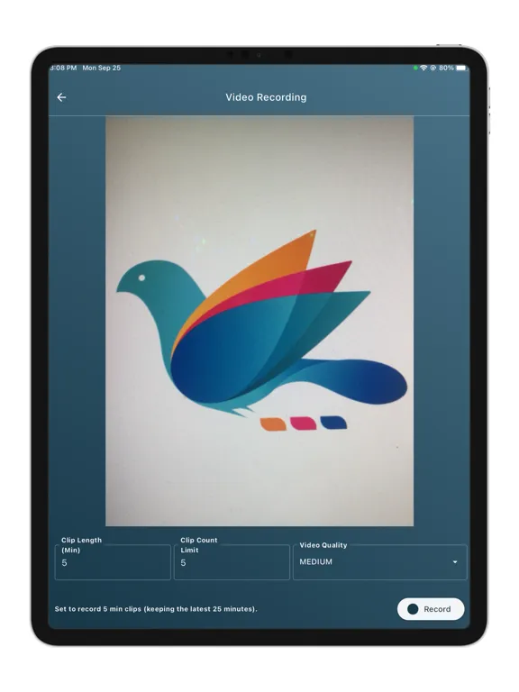 تصاویر Leg Umpire iPad 