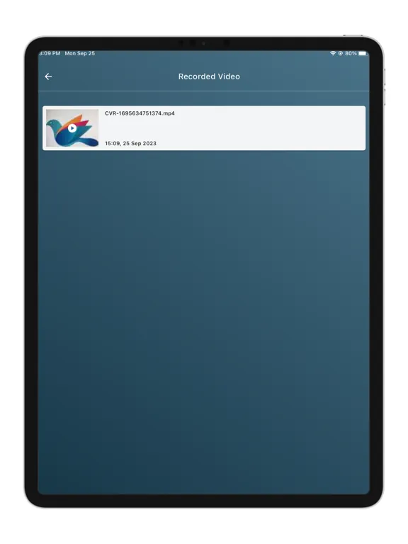 تصاویر Leg Umpire iPad 