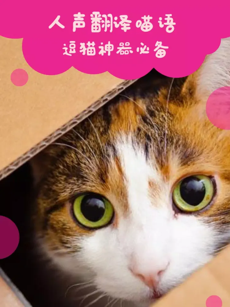 تصاویر 猫语翻译器-猫语翻译人猫交流器 iPad 