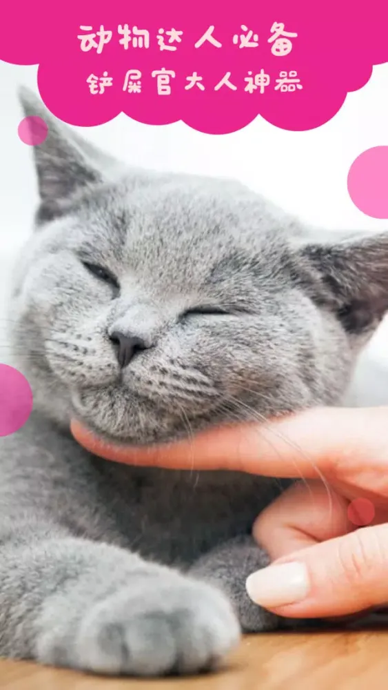 تصاویر 猫语翻译器-猫语翻译人猫交流器