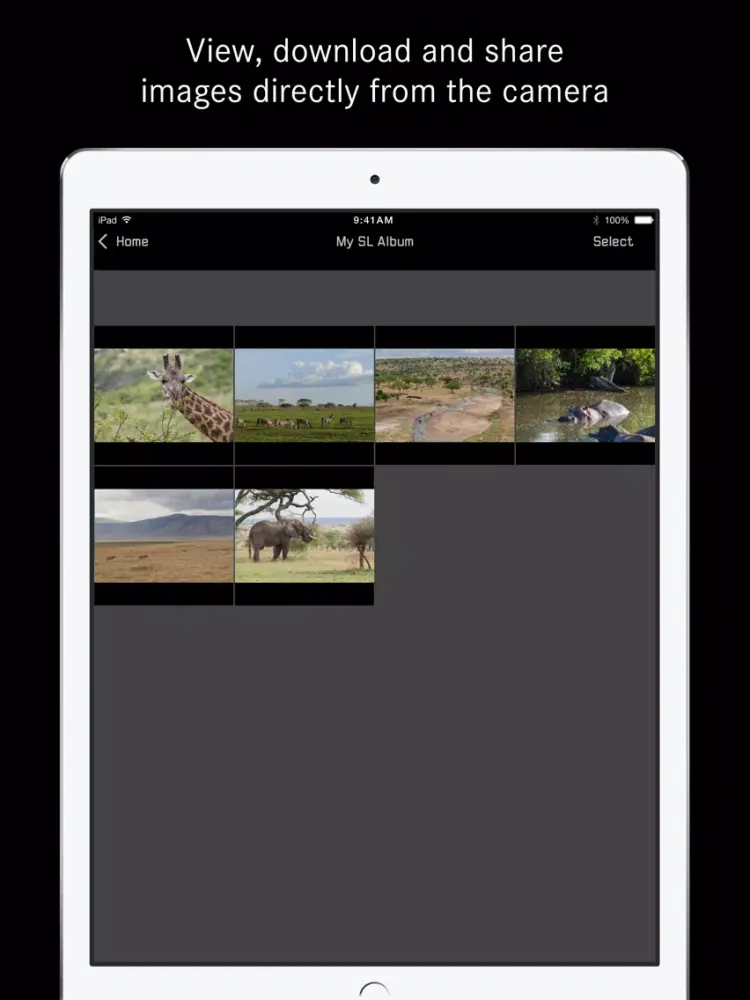 Leica SL iPad  স্ক্রিনশট