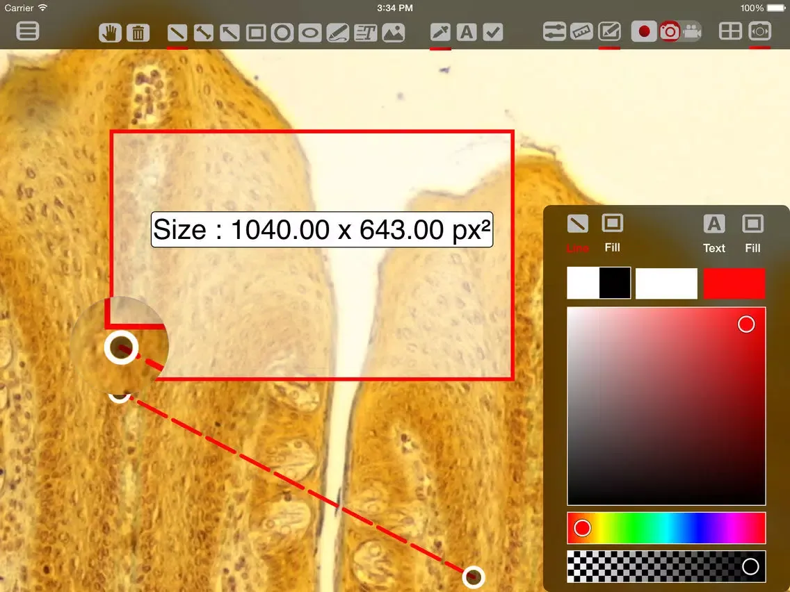 Leica DMshare V3 iPad  سکرین شاٹس