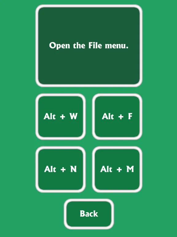 Leja VBA Solutions iPad 应用截图