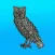 Owlwise