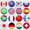 Guess National Flag