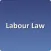 Labour Law Support