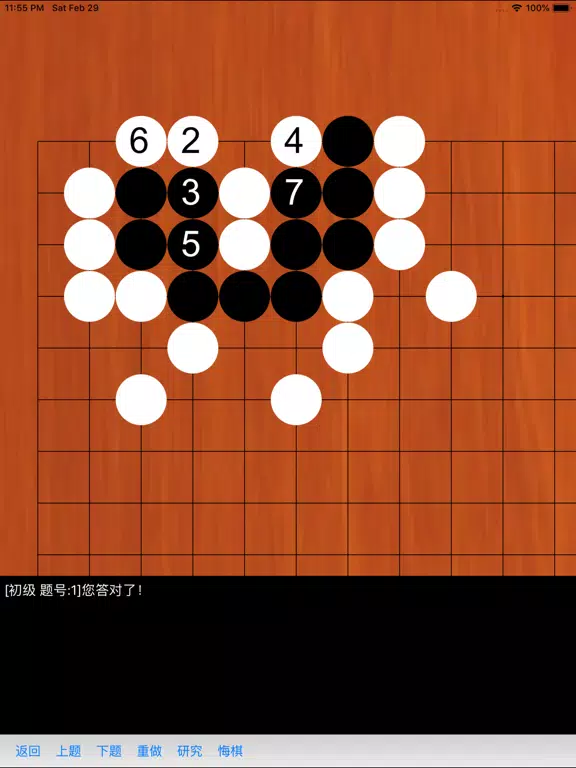 Tangkapan skrin 围棋练习大全 iPad 
