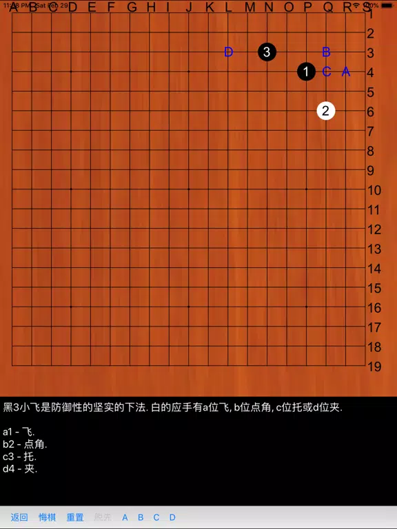 Tangkapan skrin 围棋练习大全 iPad 