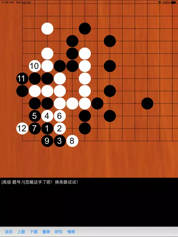 Tangkapan skrin 围棋练习大全 iPad 