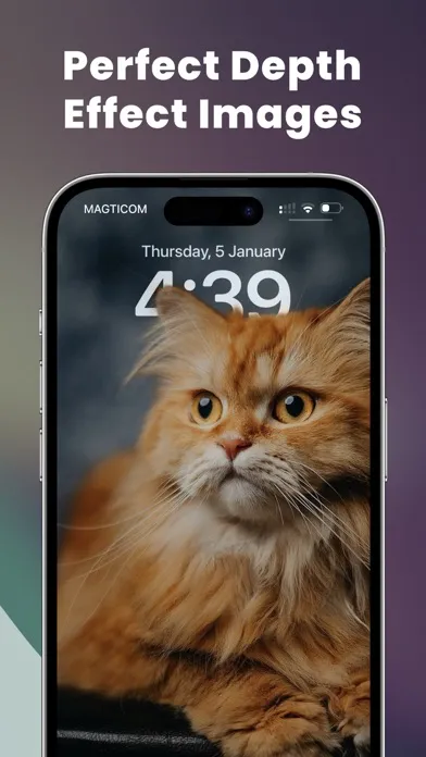 Widget skins 17 Screenshots