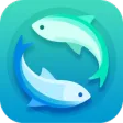 A Fishing Day