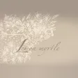 Lemon myrtle