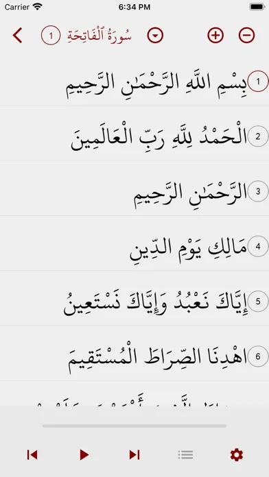 Islamic Center of San Antonio スクリーンショット