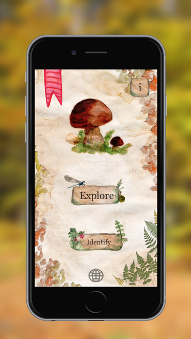 The Mushroom Book Ekran Görüntüleri