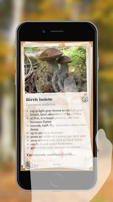 The Mushroom Book Ekran Görüntüleri