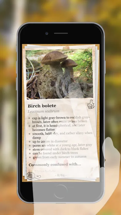 Ảnh chụp màn hình của The Mushroom Book