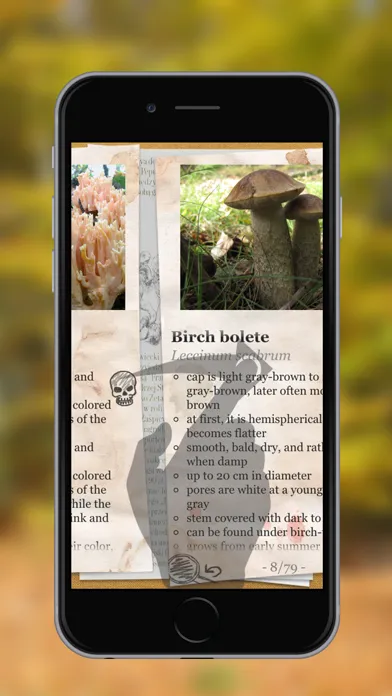 Ảnh chụp màn hình của The Mushroom Book