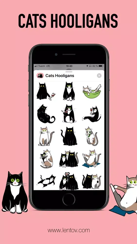 صور Cats Hooligans