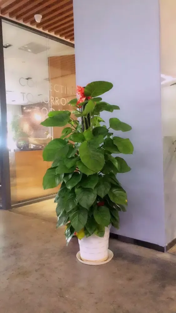 Ảnh chụp màn hình của Find Thing