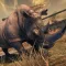 Carnivores : Animal Hunter 2016
