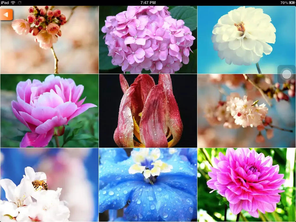Gugu WallPapers iPad  স্ক্রিনশট