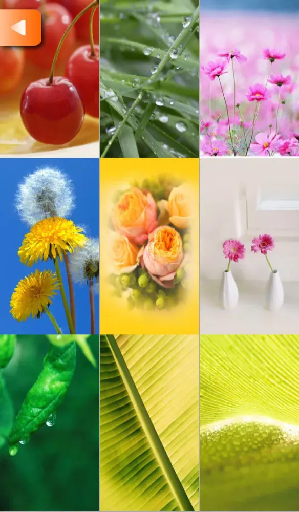 Gugu WallPapers স্ক্রিনশট